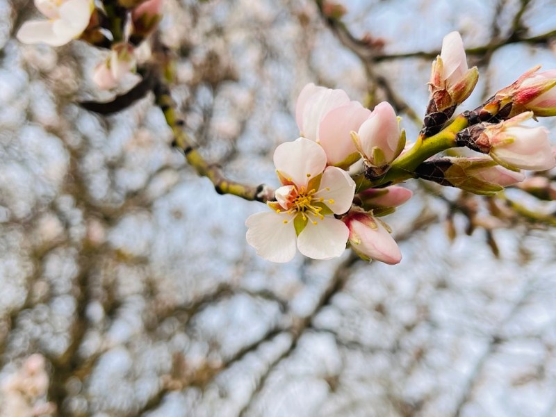 El poder del vínculo: cómo las relaciones nos&nbsp;sostienen