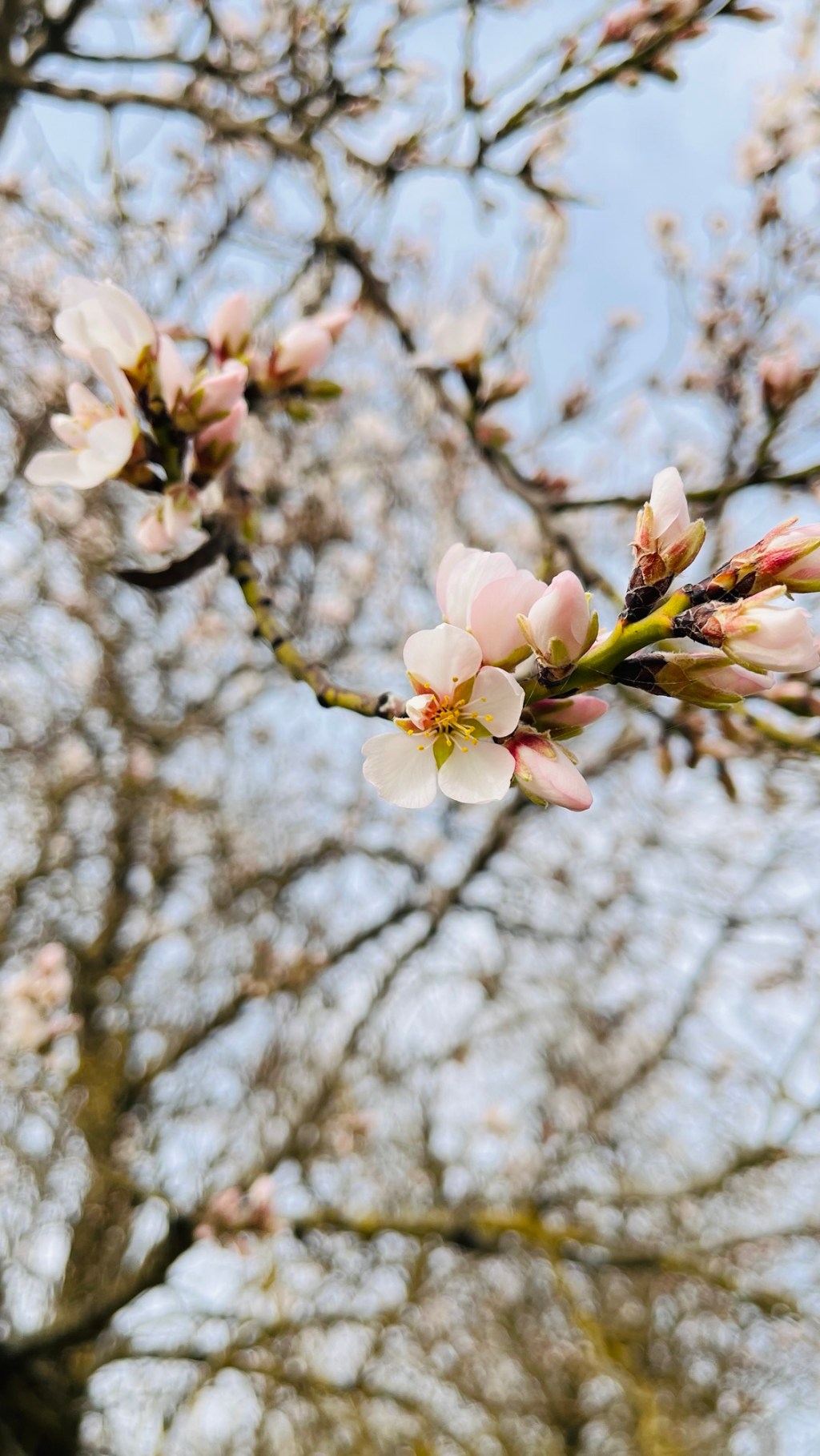 El poder del vínculo: cómo las relaciones nos&nbsp;sostienen