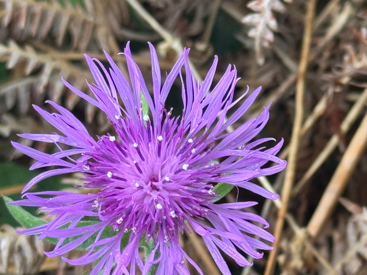 Cómo crear espacios educativos emocionalmente&nbsp;seguros