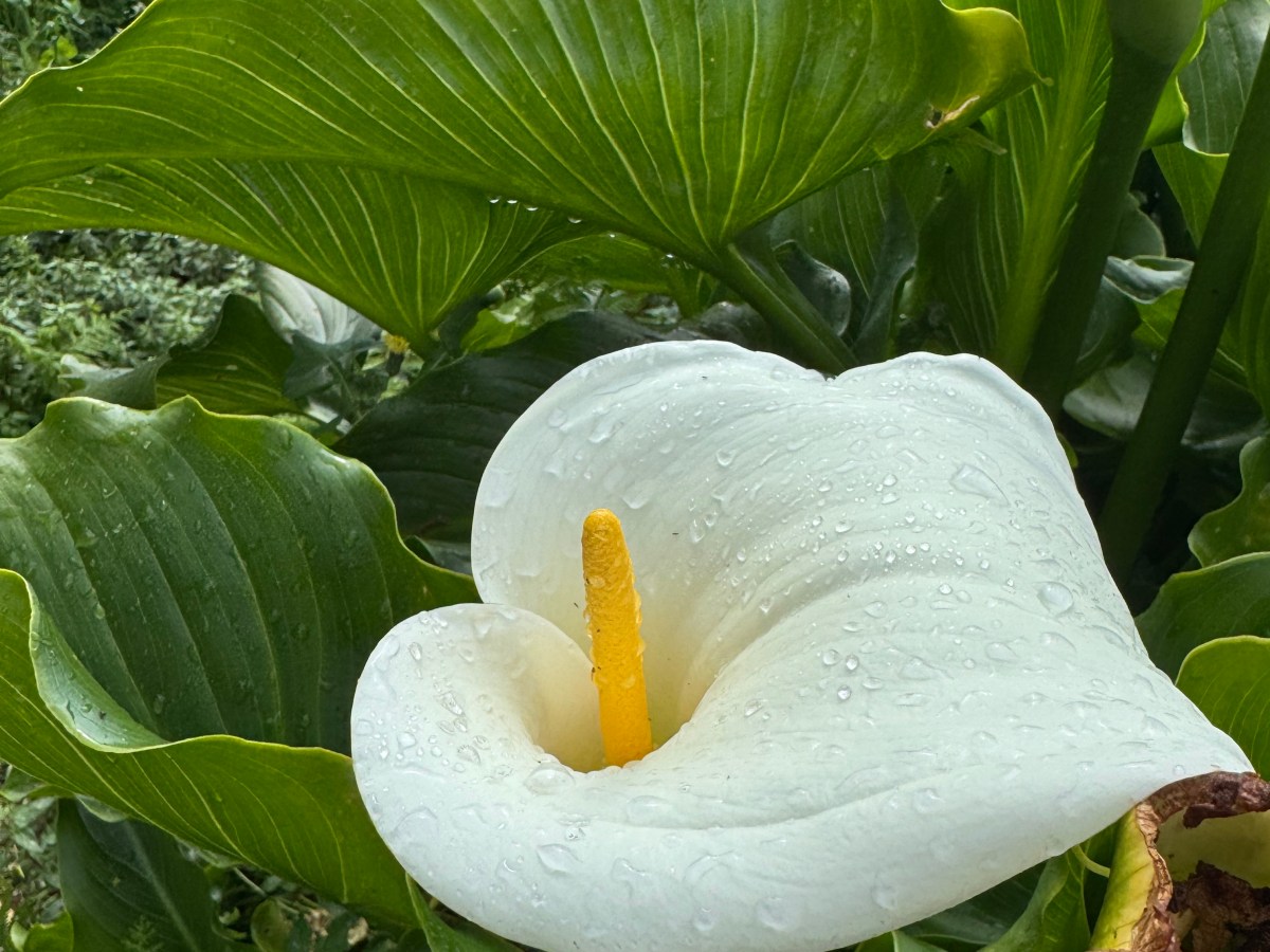 ¿Qué es el cuidado emocional y por qué es tan importante hoy en&nbsp;día?