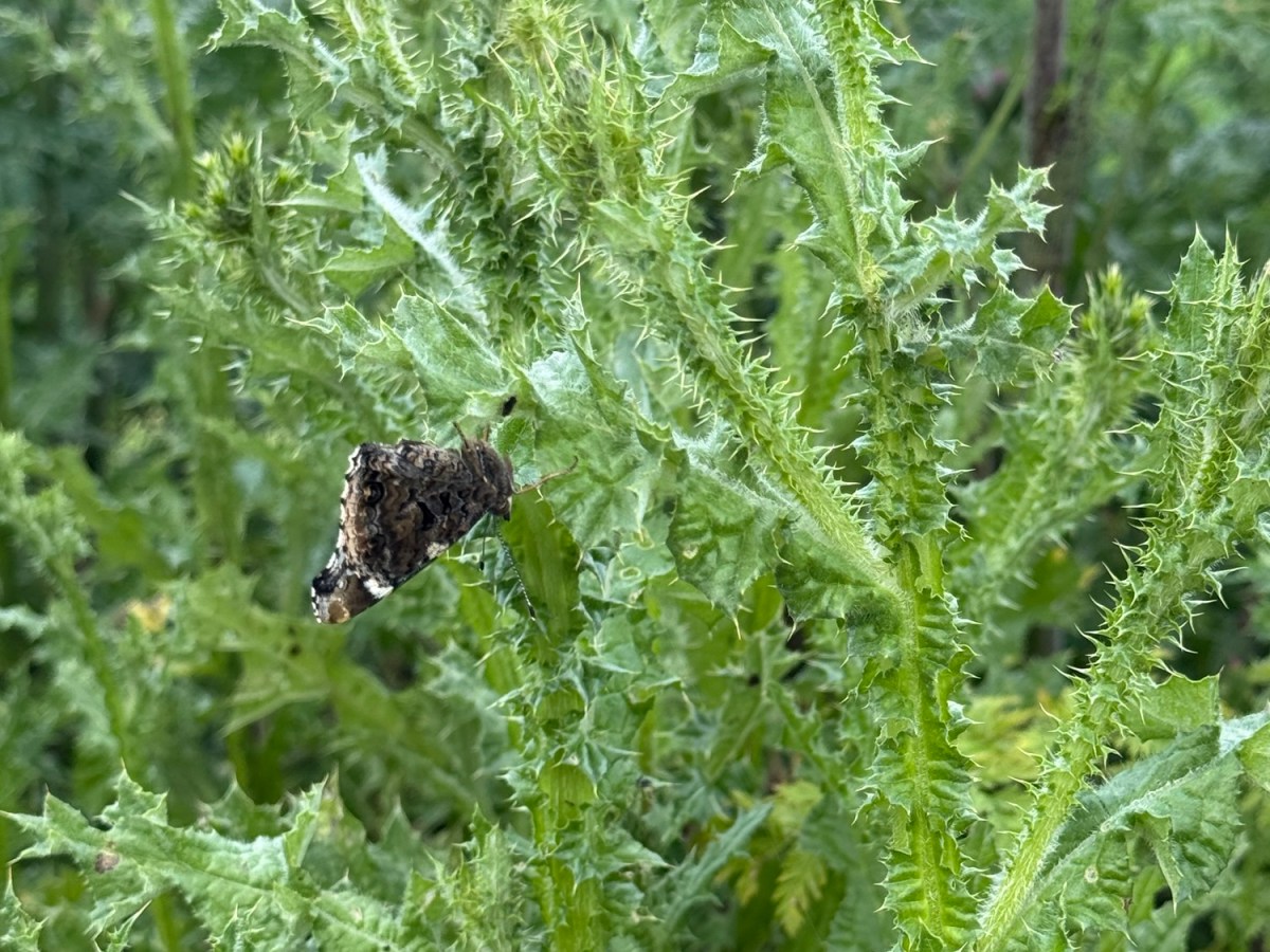 El poder del vínculo: cómo las relaciones también nos&nbsp;hieren
