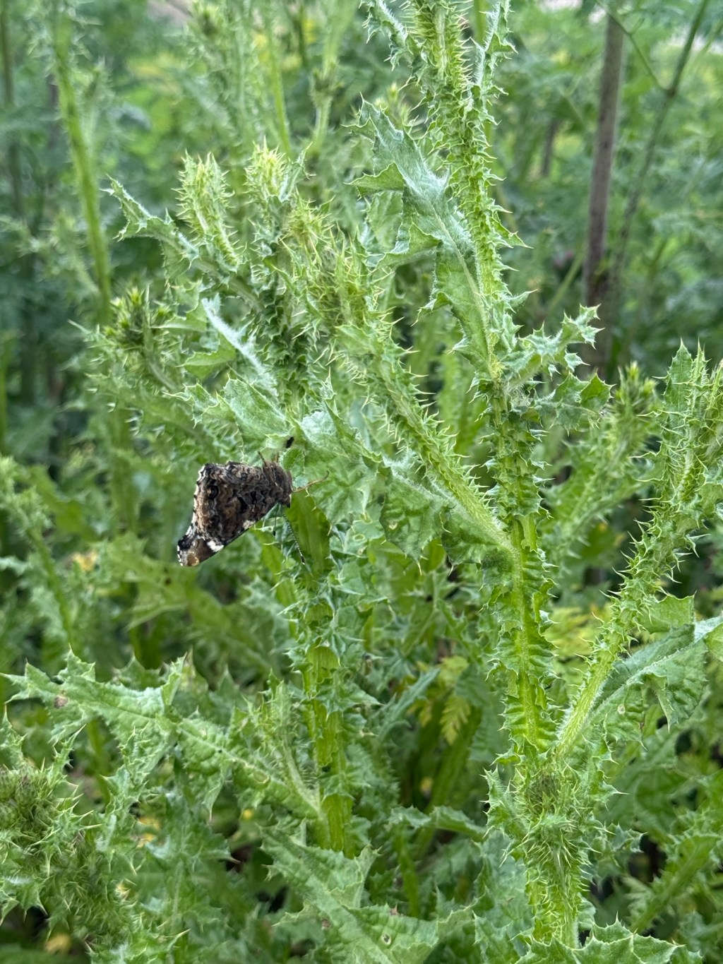 El poder del vínculo: cómo las relaciones también nos&nbsp;hieren