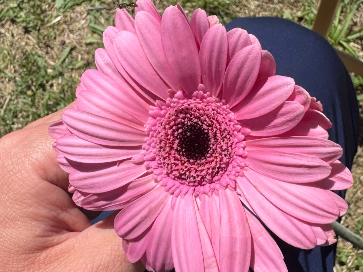 La Esperanza: ese hilo invisible que&nbsp;sostiene