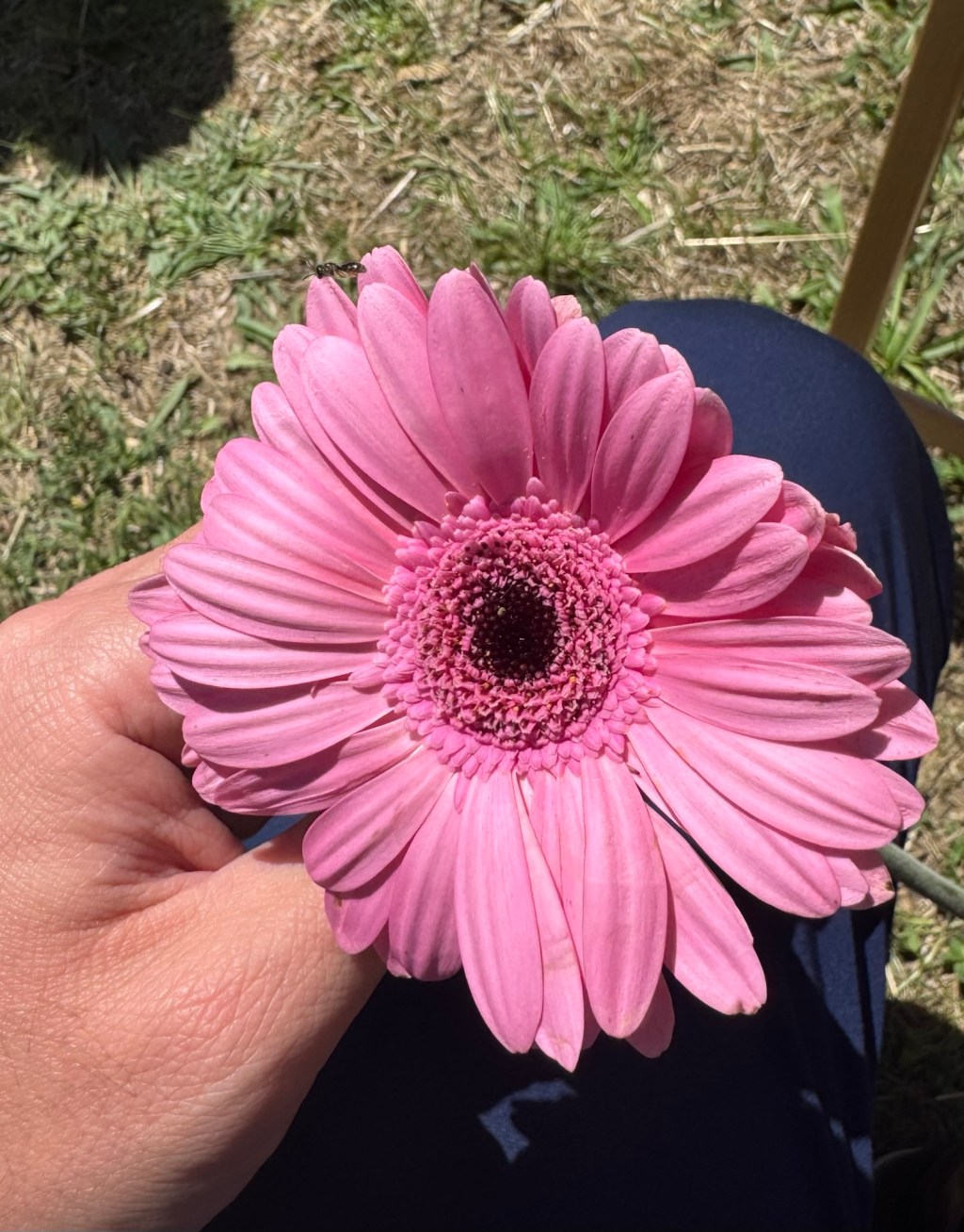 La Esperanza: ese hilo invisible que&nbsp;sostiene