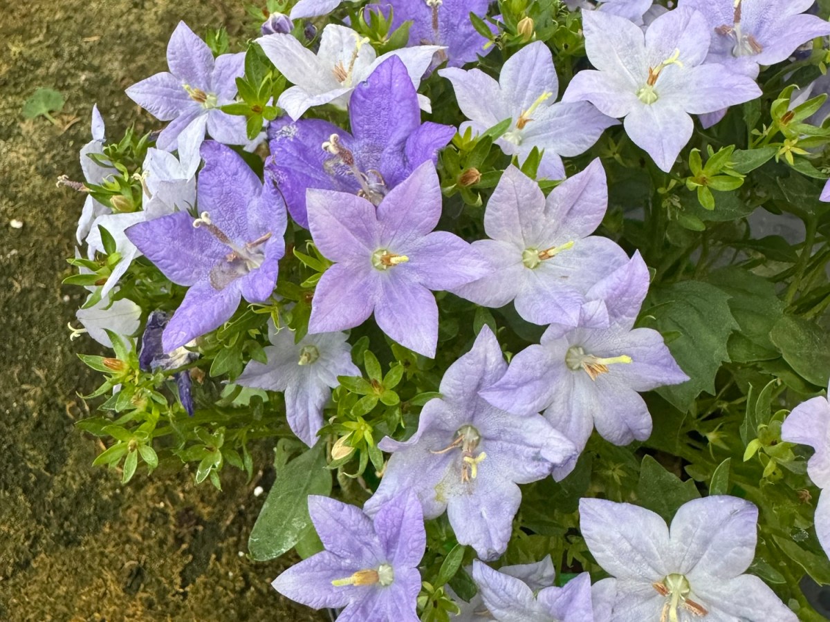 Lo que queda por resolver en nuestro pasado influye en nuestro&nbsp;presente