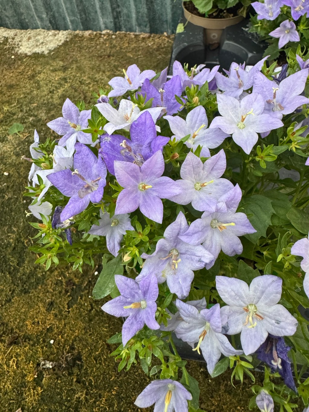 Lo que queda por resolver en nuestro pasado influye en nuestro&nbsp;presente