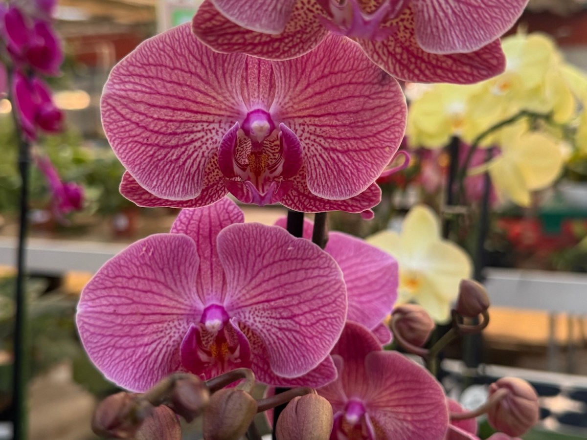 Personas “difíciles” o historias difíciles: cambiar la mirada en la intervención&nbsp;social