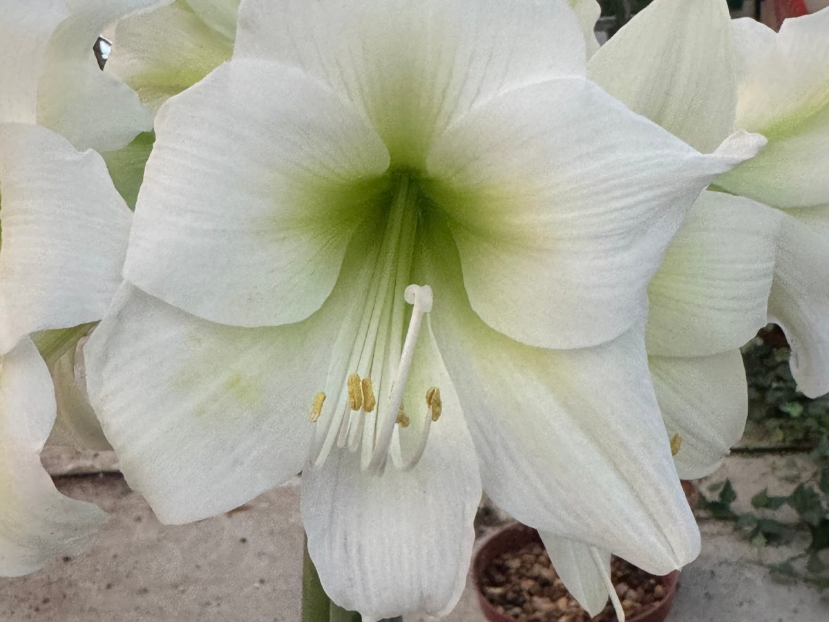 No es solo ansiedad: vivir en modo&nbsp;supervivencia